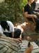 PICT0071