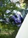 PICT0077