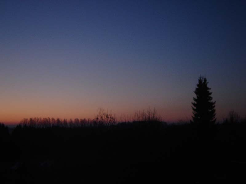 DSC01917