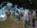 Bild 015