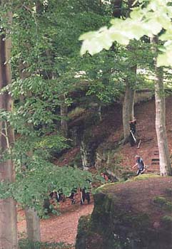wald1
